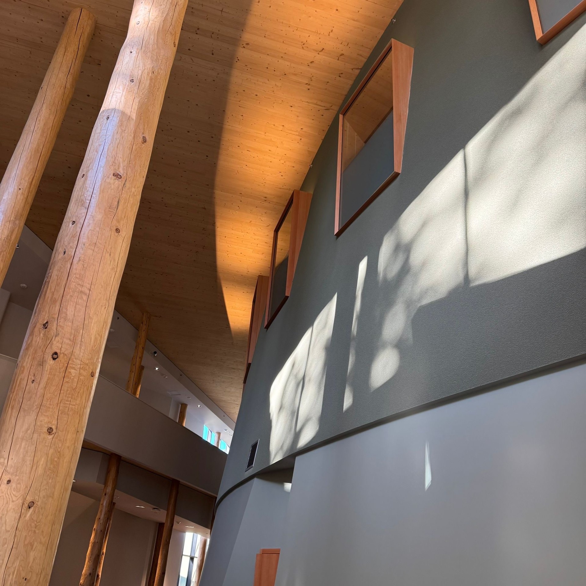 Curved Feature Wall & Timber Ceiling