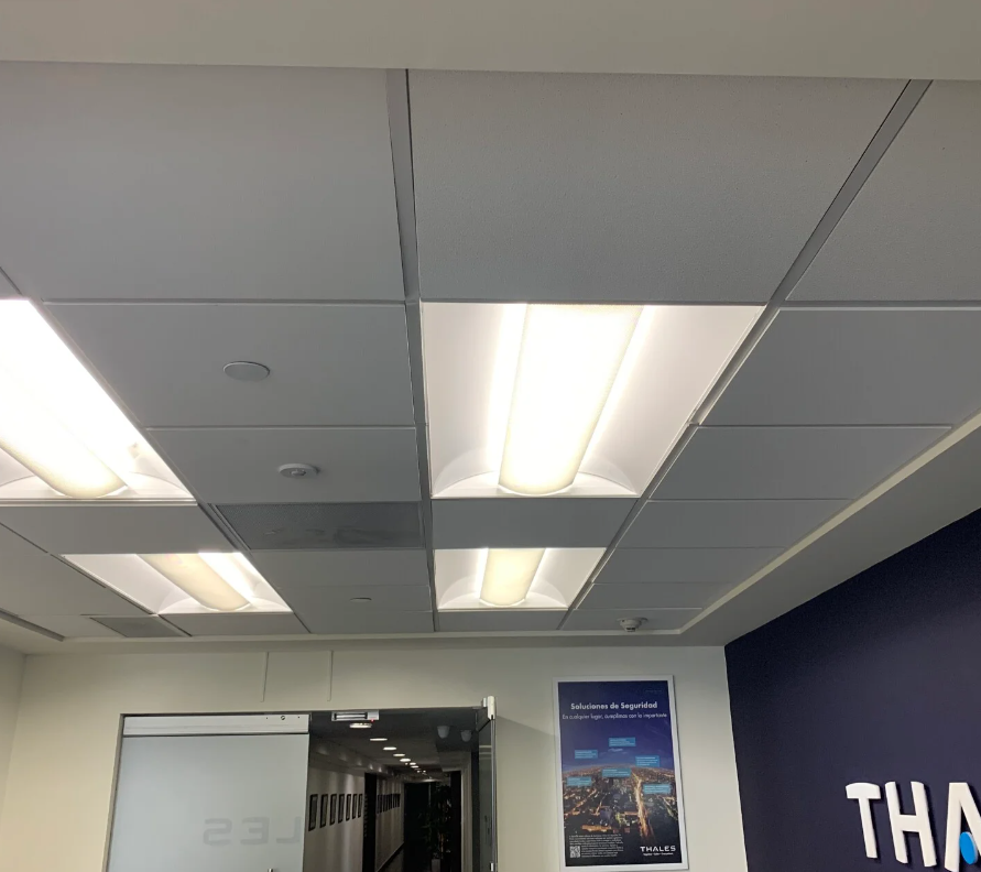 Thales Office — T-Bar Ceiling & Lighting